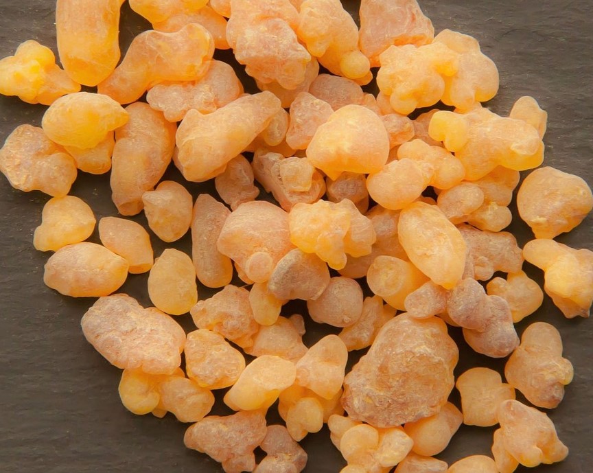 Image of frankincense resin.